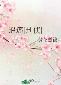 追逐[刑侦