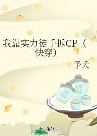 我靠实力单身电视剧