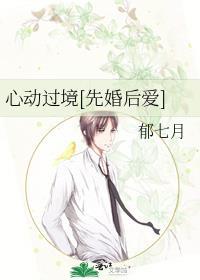 心动过境先婚后爱大结局