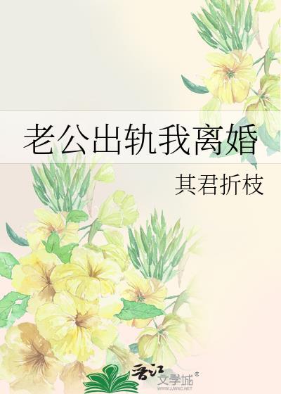 老公出轨我离婚全文