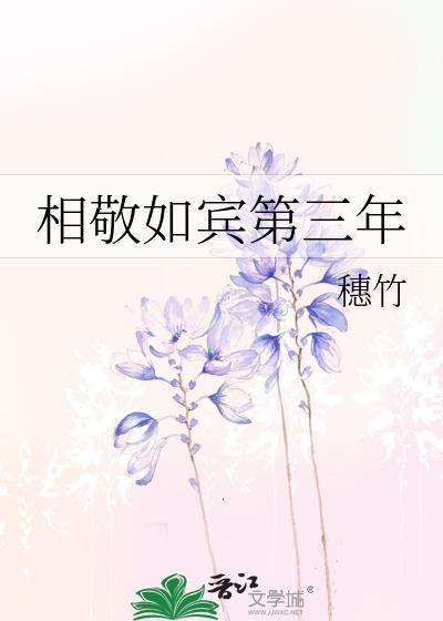 相敬如宾第三年txt百度