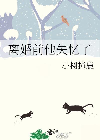 离婚前他失忆了秦砚