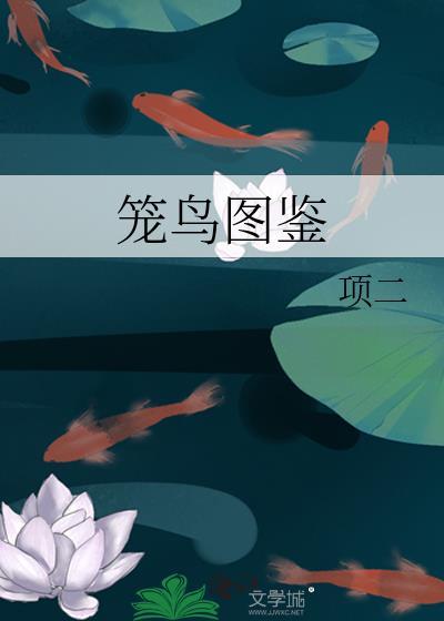笼鸟图鉴结局是什么