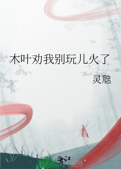 木叶b站