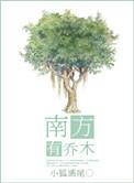 南方有乔木 小狐濡尾