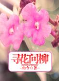 何寻羡作品集免费
