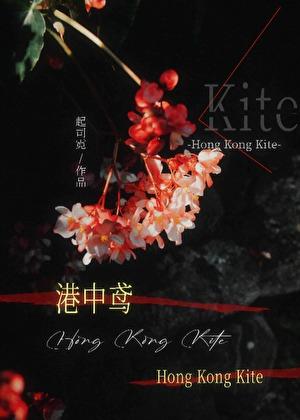港中鸢txt笔趣阁免费阅读