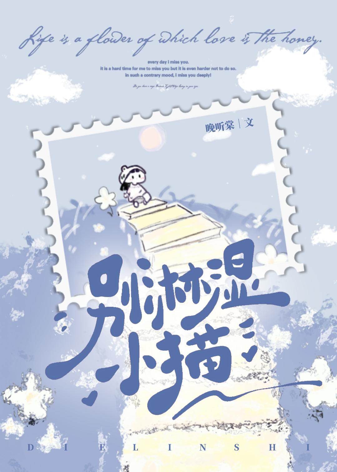淋湿小猫表情包