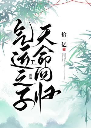 天命回归免费
