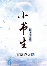 小书生千里迢迢认媳妇全集