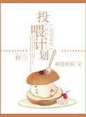 明星系统分章