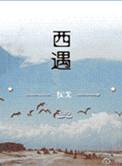西遇官网