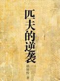 匹夫的逆袭是哪年写的
