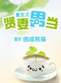 重生之贤妻男当作者困成熊猫