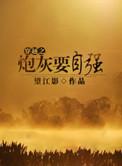 穿越之炮灰在九零年代免费阅读