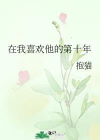 在我喜欢他的第十年笔趣阁