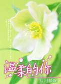 温柔的你国语版歌名叫什么