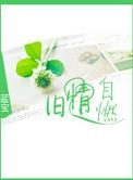 旧情自燃蓝宝91baby