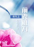 重生前妻太难追短剧