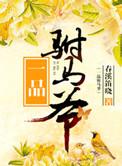 一品驸马知乎