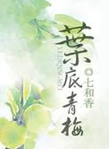 叶底青梅txt盘