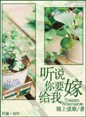 听说你要结婚了全文阅读