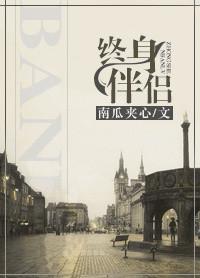 终身伴侣套餐短剧