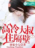高冷大叔甜