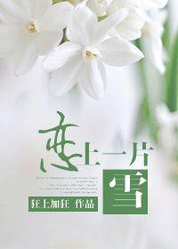 推文恋上一片雪