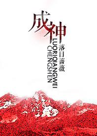 成神风暴TXT