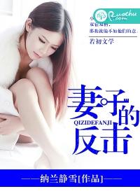 妻子的反击韩