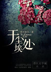 于尘埃处21章