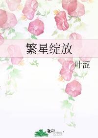 繁星cdn