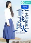 我非良人为何情深对应句子
