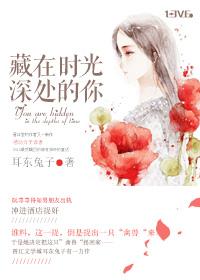 藏在时光深处的你免费全文阅读
