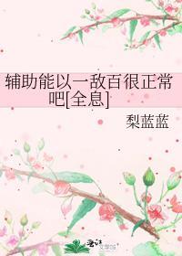 辅助全出辅助装会怎么样