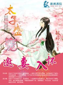 太子宠妻手札