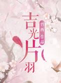 吉光片羽和雪泥鸿爪区别