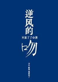 逆风的吻不甚了了txt