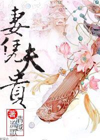 妻凭夫贵 清越流歌好看吗