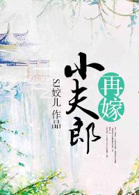 再嫁小夫郎txt百度