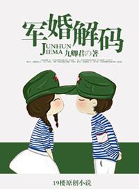 第七部军婚解码作者九卿君