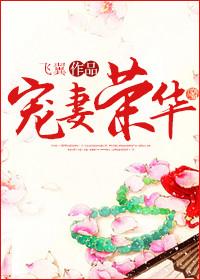 宠妻书在线阅读
