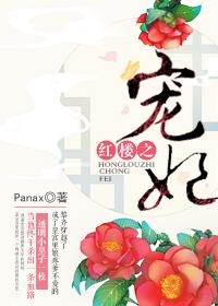 红楼之爱宠