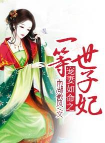 宠妻如命晋江