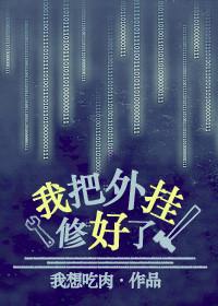 我把外挂修好啦