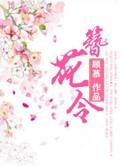 簪花令歌曲
