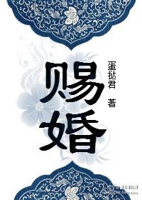 赐婚重生谢景初沈