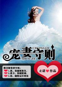 宠妻守则h