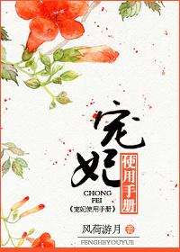 宠妃使用手册by